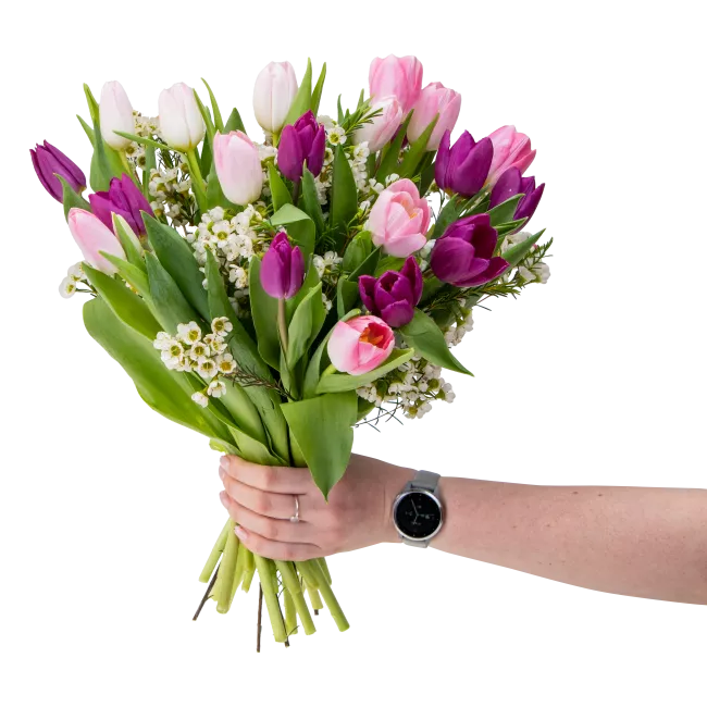 Bouquet of tulips purple